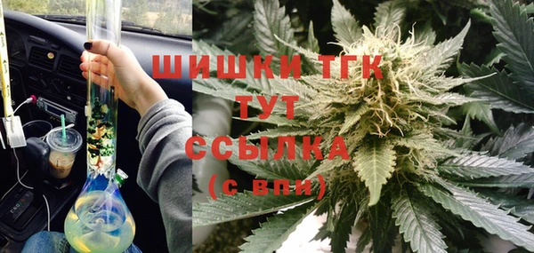 гашик Алзамай