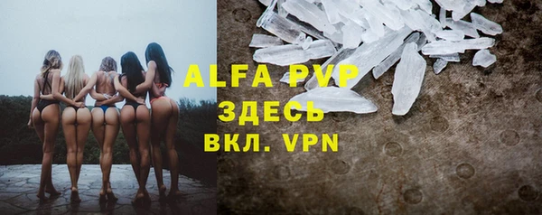 сатива Кодинск