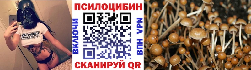 omg ссылка  Каневская  Галлюциногенные грибы Cubensis  наркошоп 
